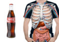 Coca-Cola: действие напитка на организм