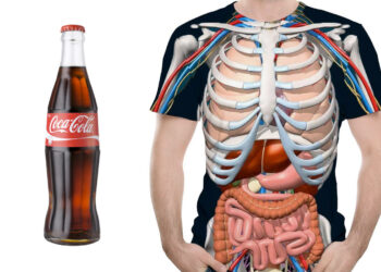 Coca-Cola: действие напитка на организм